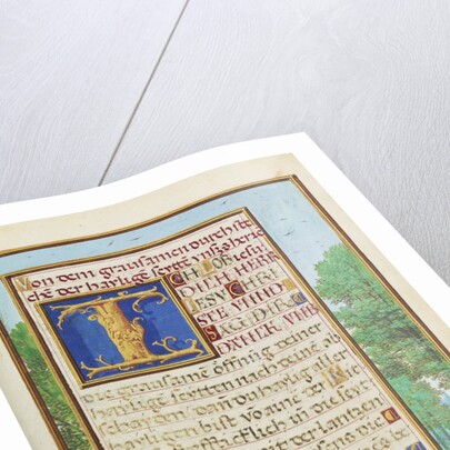 Border with the Creation of Eve by Simon Bening