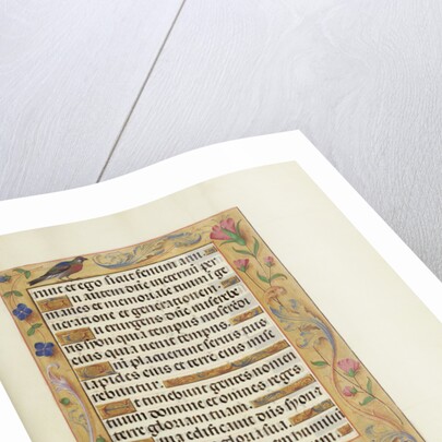 Decorated Text Page by Anonymous