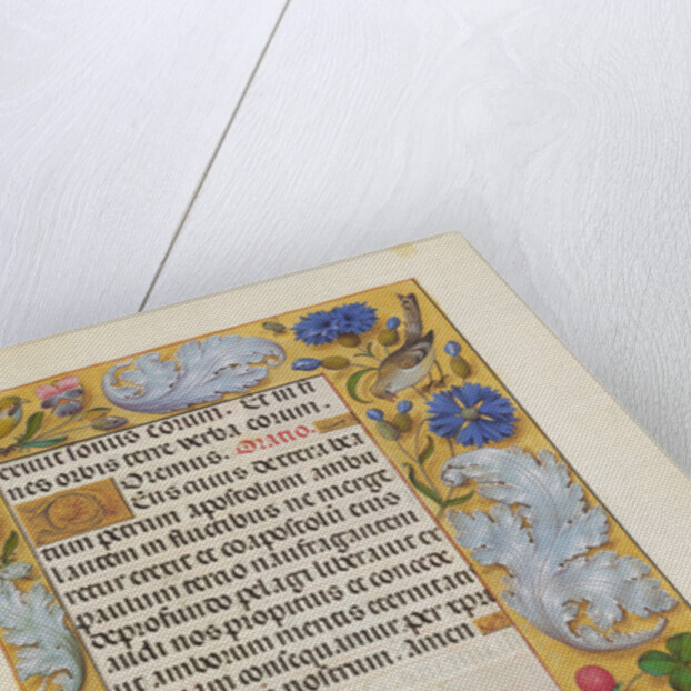 Decorated Text Page by Anonymous