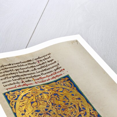 Inhabited Initial Q by Anonymous