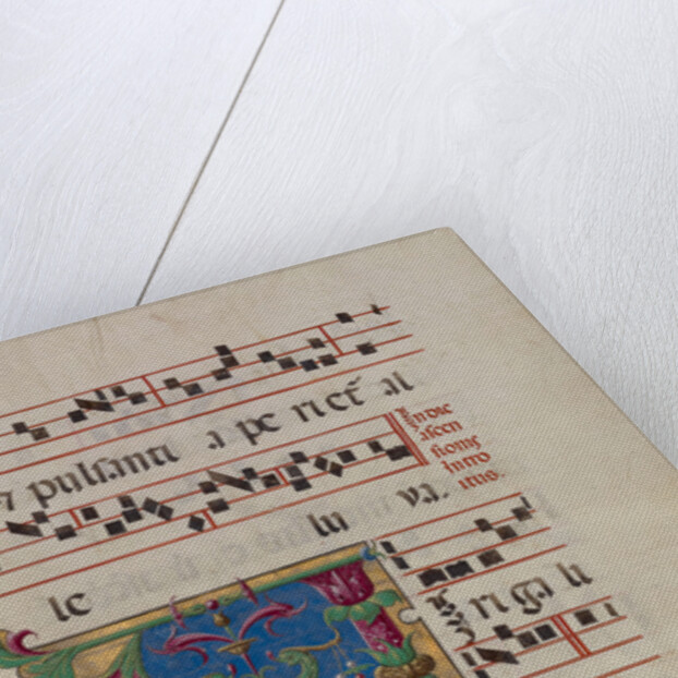 Decorated Initial V by Anonymous