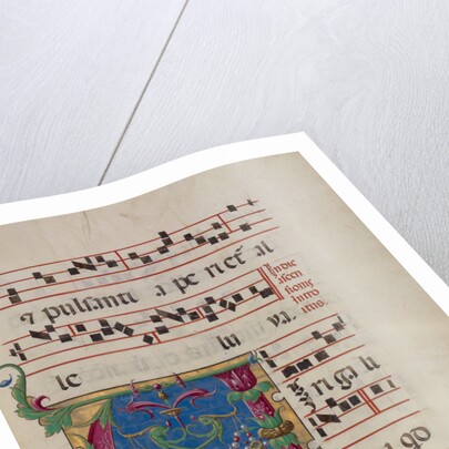 Decorated Initial V by Anonymous