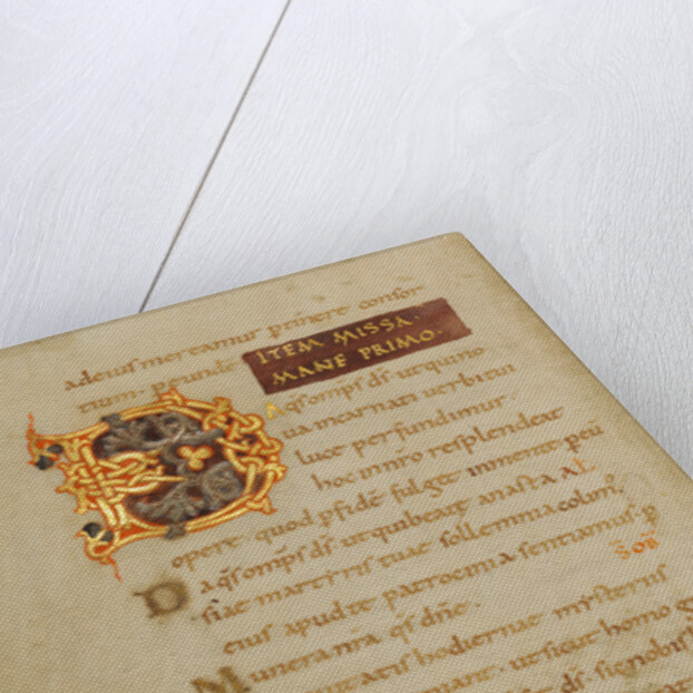 Decorated Initial D by Anonymous