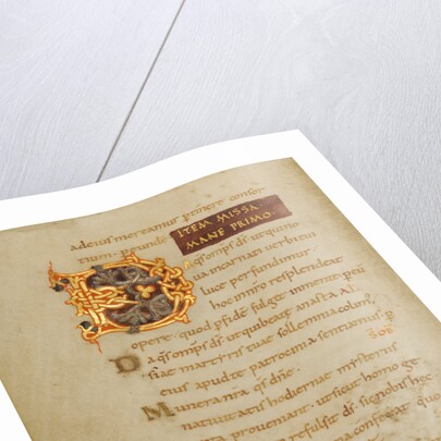 Decorated Initial D by Anonymous