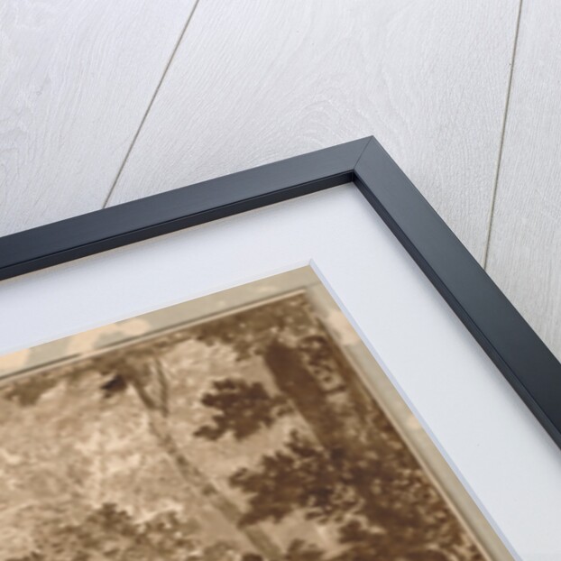 A Path Leading into a Forest Clearing by Nicolas Poussin