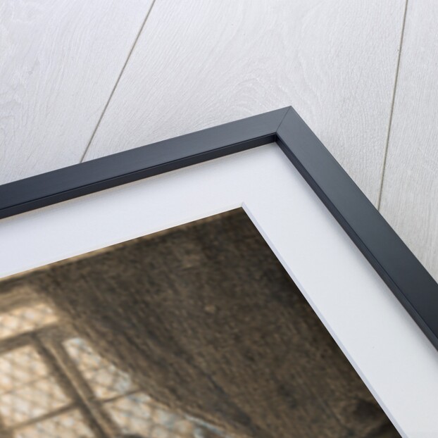 Le chat or The Cat at the Window by Jean-François Millet