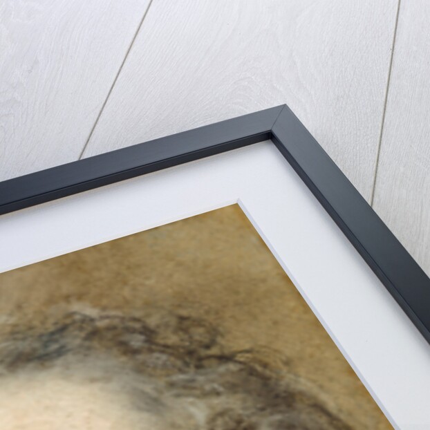 Head of King Louis XV by François Le Moyne