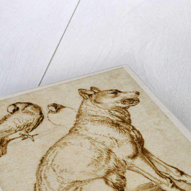 A Wolf and Two Doves by Sinibaldo Scorza