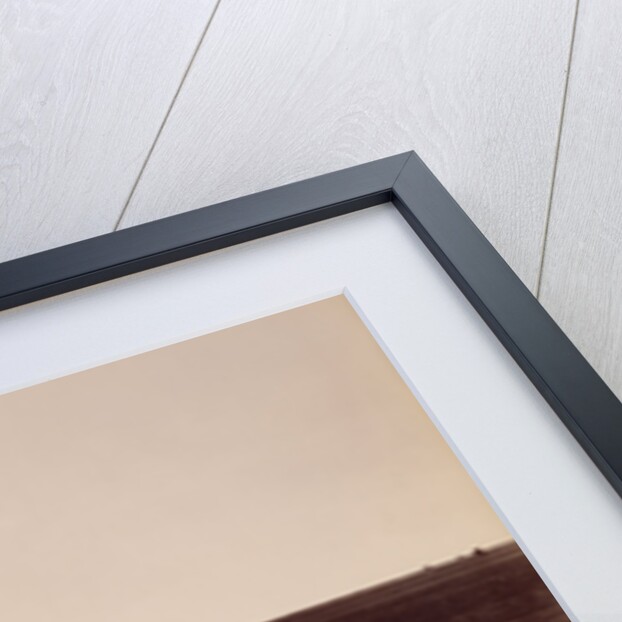 View on the Calloway Canal, Near Poso Creek, Kern County by Carleton Watkins