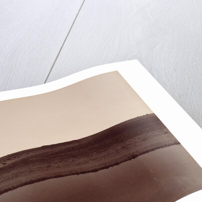 View on the Calloway Canal, Near Poso Creek, Kern County by Carleton Watkins