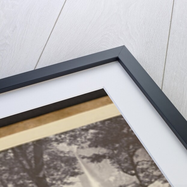 Yo Semite Falls. 2630 ft. by Carleton Watkins