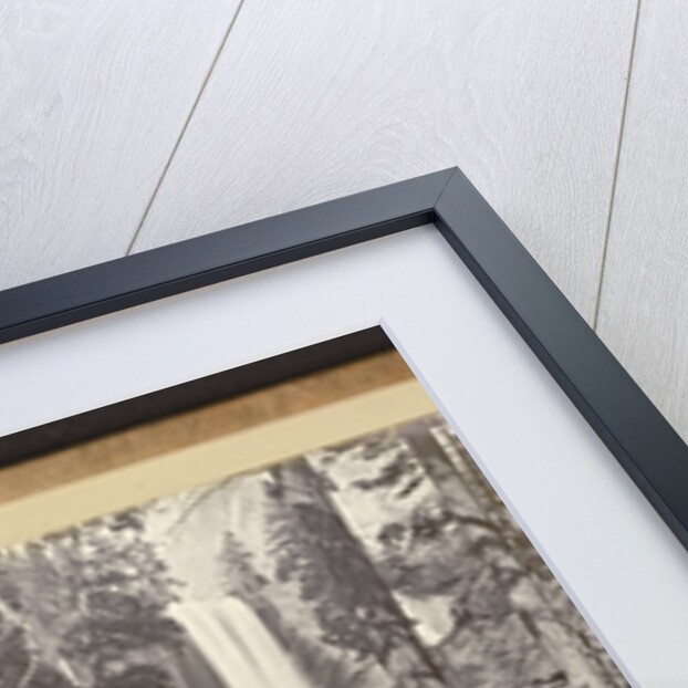 Inverted in the Tide Stand the Grey Rocks. by Carleton Watkins