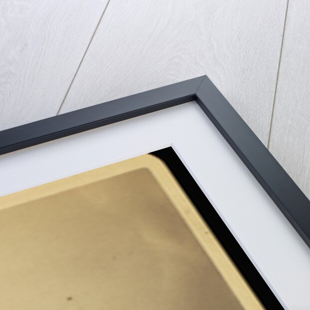 Mrs. Tinkman by William H. Mumler