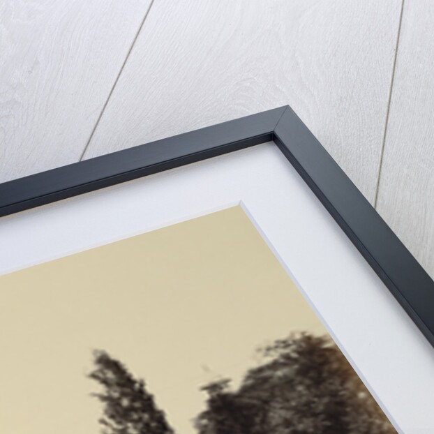 Entrance View of the Taj by Felice Beato