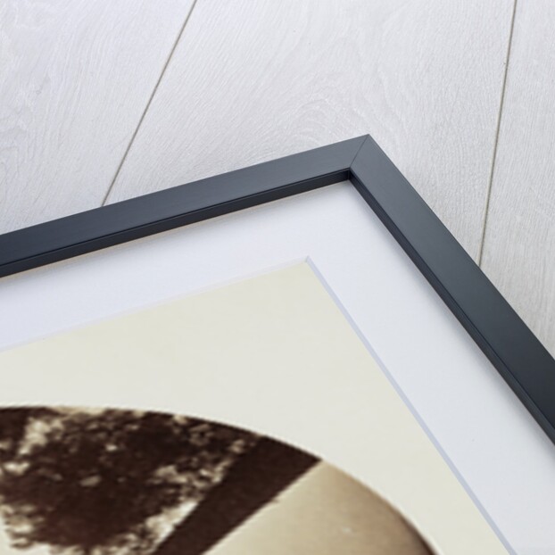 Among The Tree Tops Calaveras Grove by Carleton Watkins