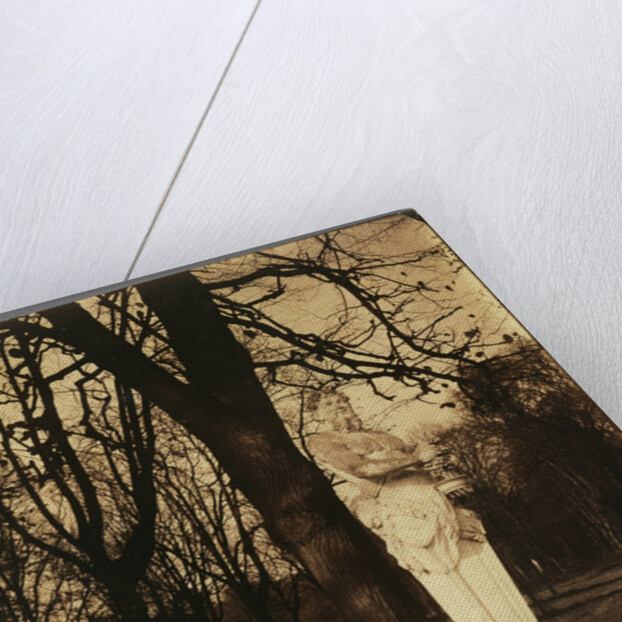 Versailles, Coin de Parc by Eugène Atget