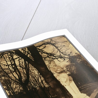 Versailles, Coin de Parc by Eugène Atget