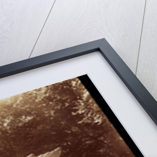 Grand Trianon, Dragon par Hardy by Eugène Atget