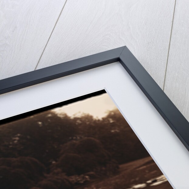 Water Lilies by Eugène Atget