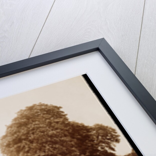 St. Cloud by Eugène Atget