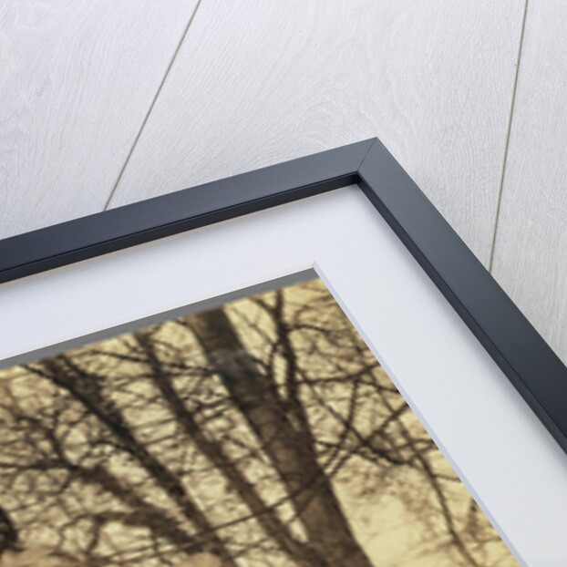 Versailles. Bosquet de l'Arc de Triomphe. Groupe par Tuby. (France Triumphant, by Jean-Baptiste Tuby, Versailles) by Eugène Atget