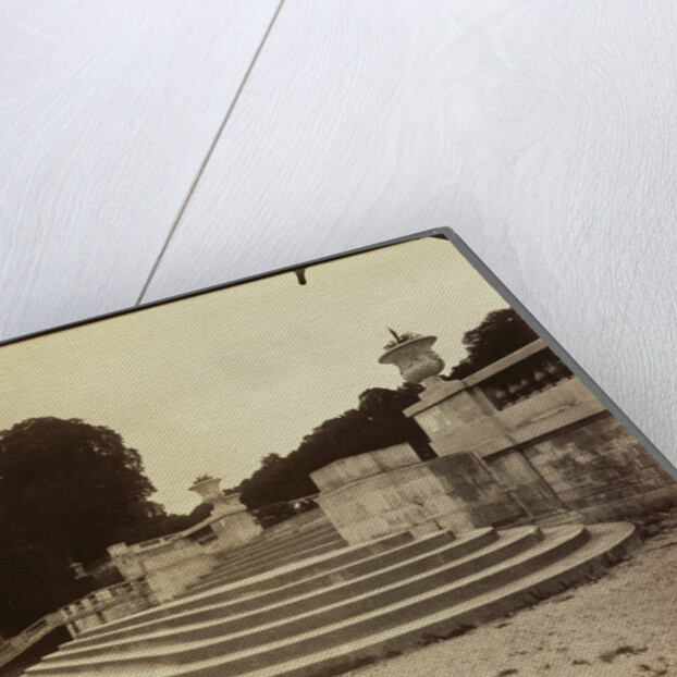 Parc de Saint Cloud by Eugène Atget