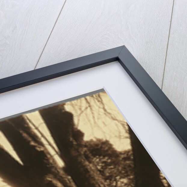 Petit Trianon (The Temple of Love, Petit Trianon) by Eugène Atget