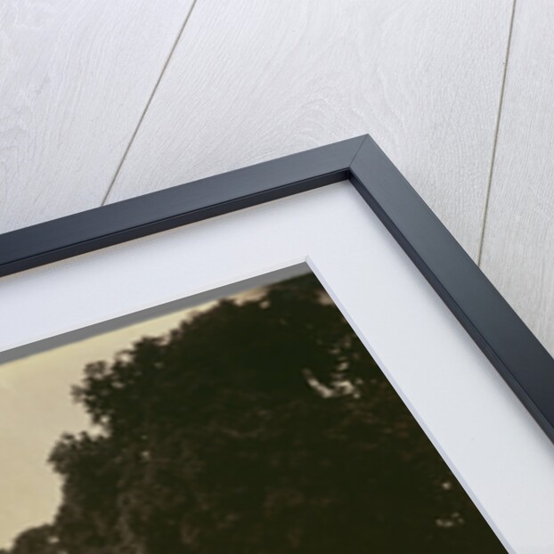 Parc de Saint-Cloud by Eugène Atget