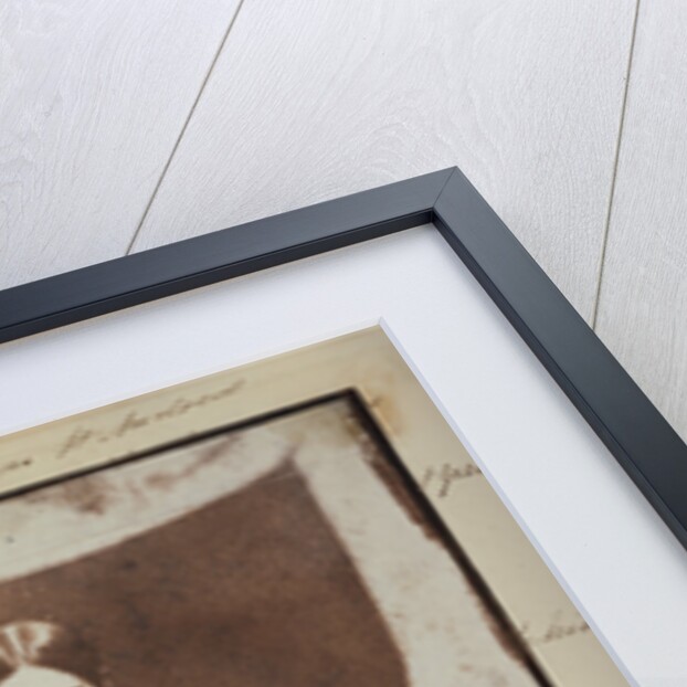 Miss Thomson of St. Andrews by Dr. John Adamson