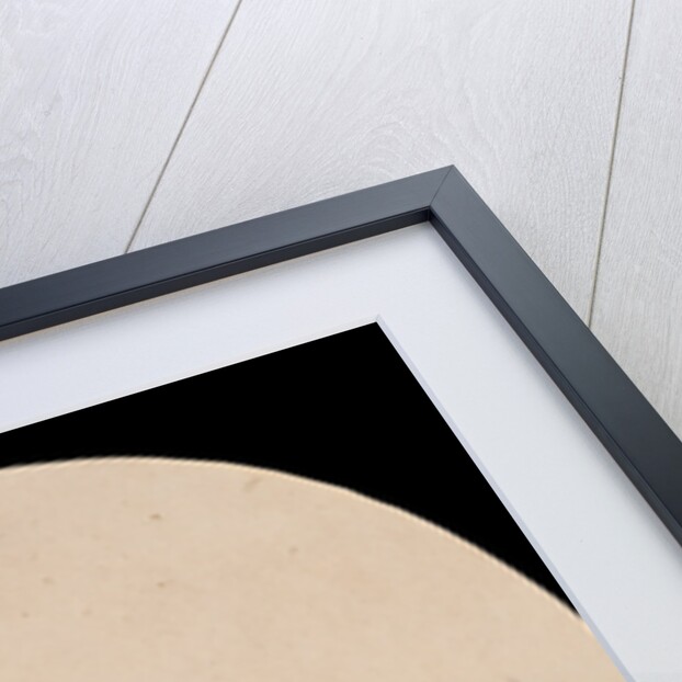 Le Joueur d'Orgue (The Organ Grinder) by André Adolphe-Eugène Disdéri