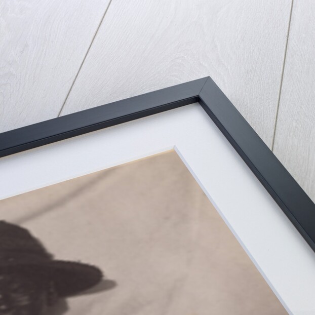 Maum Duck, South Carolina by Doris Ulmann