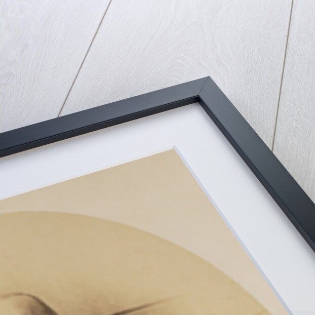 Portrait of Giuseppe Garibaldi by Gustave Le Gray