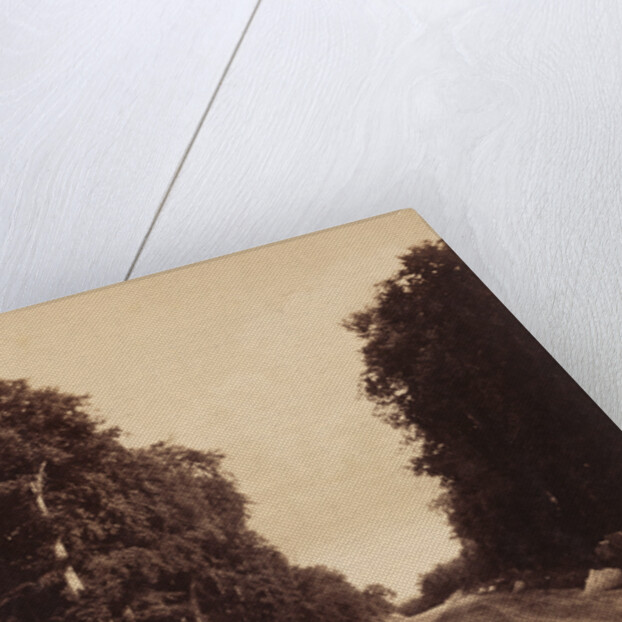 Route de Chailly, Fontainebleau by Gustave Le Gray