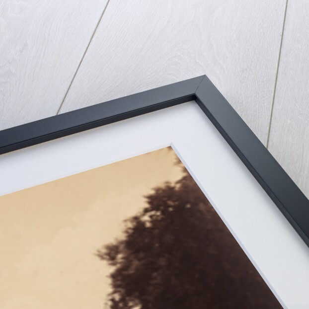 Route de Chailly, Fontainebleau by Gustave Le Gray