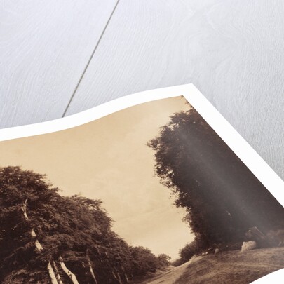 Route de Chailly, Fontainebleau by Gustave Le Gray