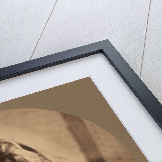 Ellen Terry at Age Sixteen by Julia Margaret Cameron