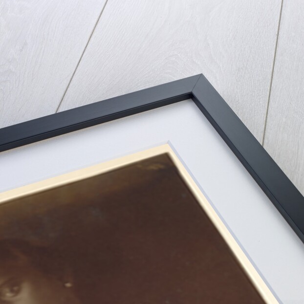 Girl, Ceylon by Julia Margaret Cameron