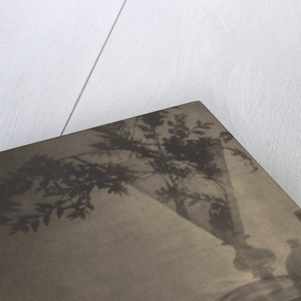 Glass and Shadows by Baron Adolf De Meyer