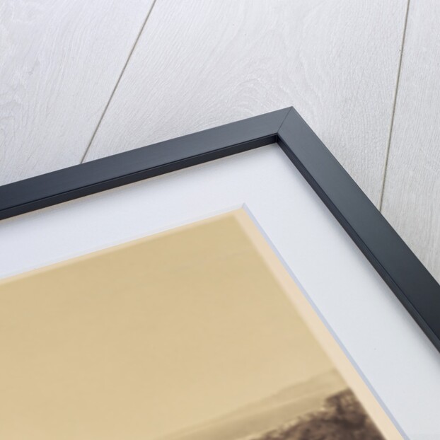 Coast View off Mendocino by Carleton Watkins