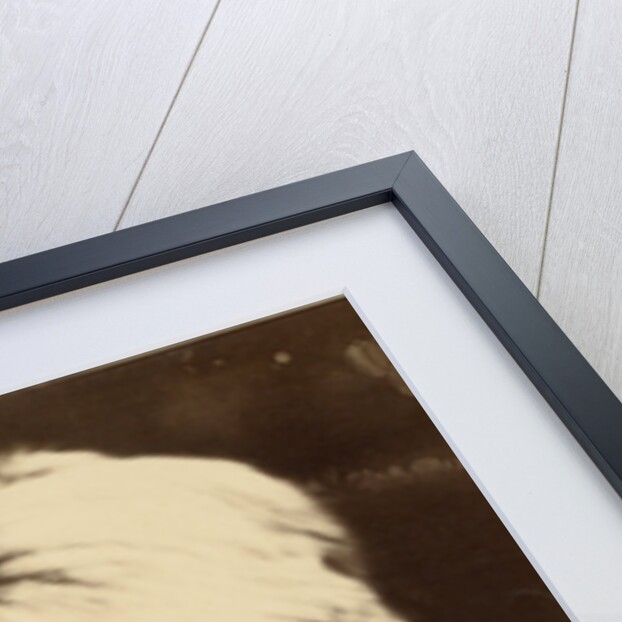 Thomas Carlyle by Julia Margaret Cameron