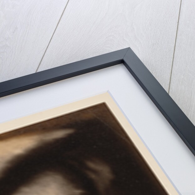 Prospero by Julia Margaret Cameron