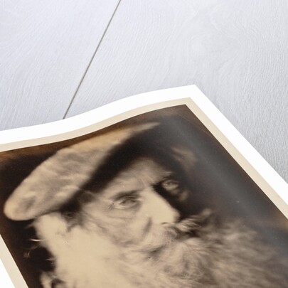 Prospero by Julia Margaret Cameron