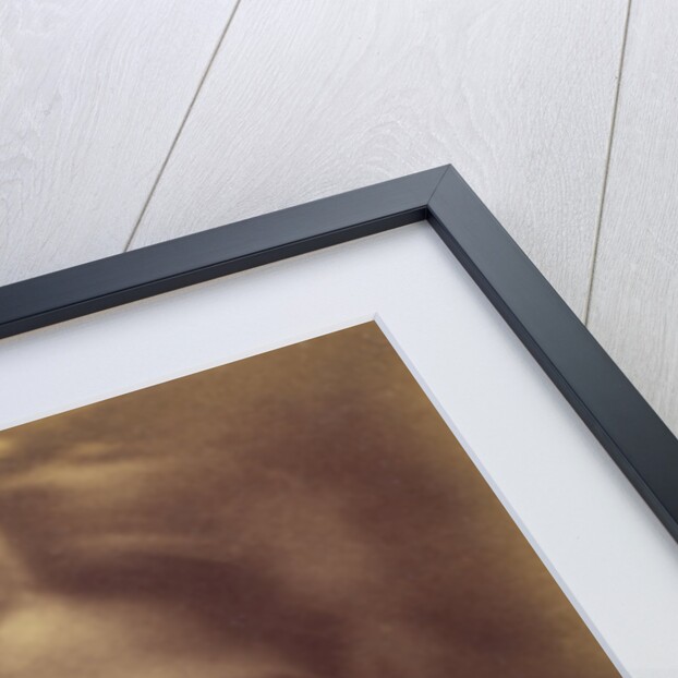 Marie Spartali by Julia Margaret Cameron