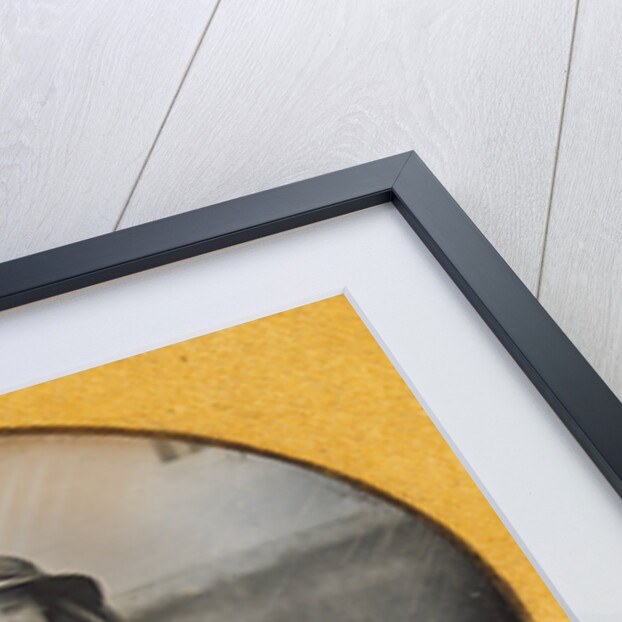 Portrait of a Girl with her Deer by Anonymous