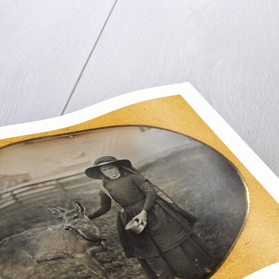 Portrait of a Girl with her Deer by Anonymous