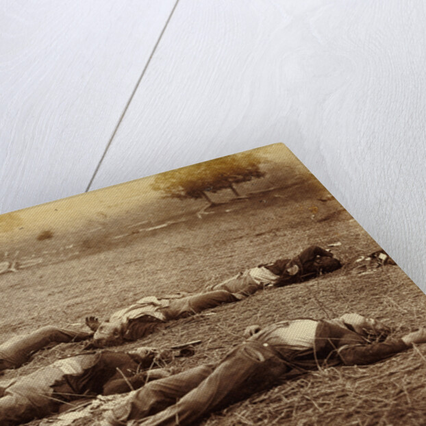 Field Where General Reynolds Fell, Gettysburg by Timothy H. O'Sullivan