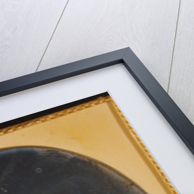 Portrait of a Boy with Gold-Mining Toys by James M. Ford