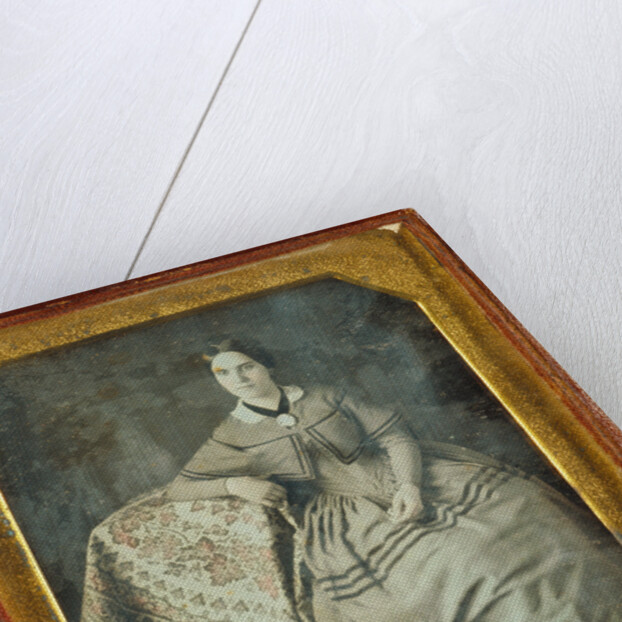 Portrait of a Seated Young Woman and Dog by Anonymous