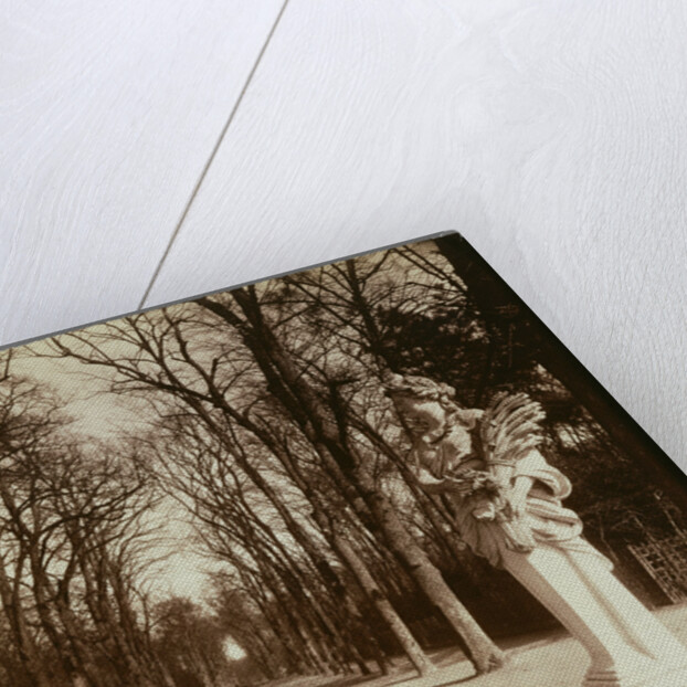 Versailles-Parc (The Park, Versailles) by Eugène Atget