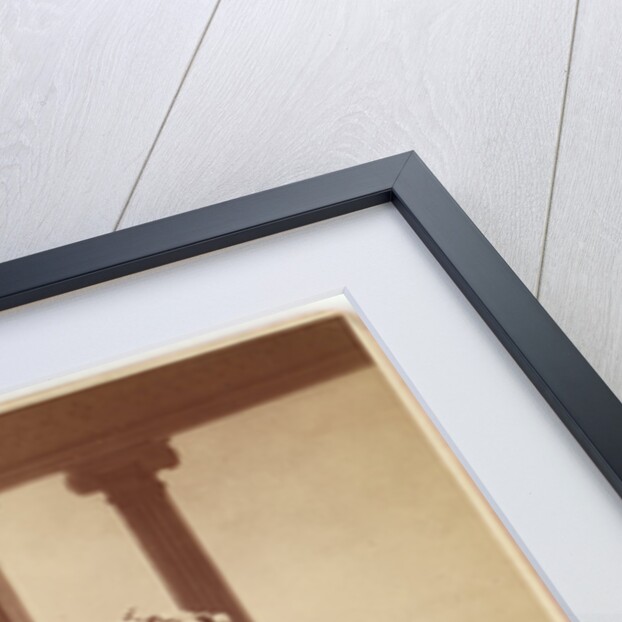 Sarah Bernhardt as Phedre in Racine's Phaedra by Nadar [Gaspard Félix Tournachon]